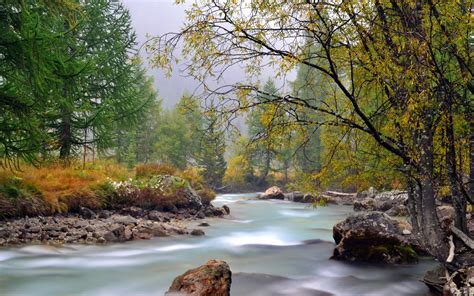 Fondos de pantalla : río, montaña, Árboles, corriente, otoño, Piedras ...