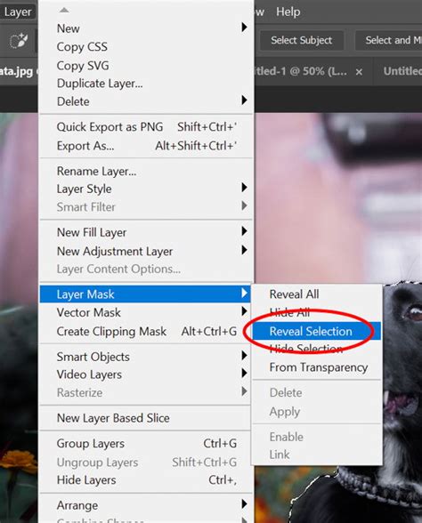 How to Use Quick Selection Tool in Photoshop (Step by Step)