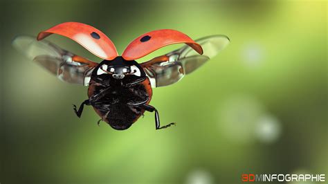 [Blender Market] Rigged Ladybird - BlenderNation