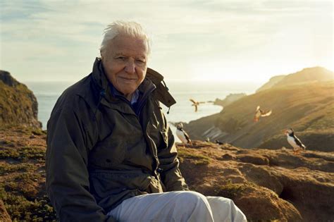 BBC reportedly axe David Attenborough’s Dynasties programme | Daily Local News UK