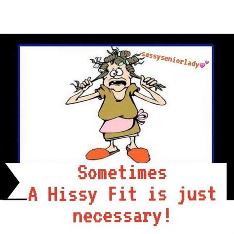 Hissy fit | Funny words, Hissy fit, Southern girl quotes