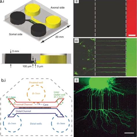 Hierarchical design of neural systems-on-a-chip toward assembly of ...