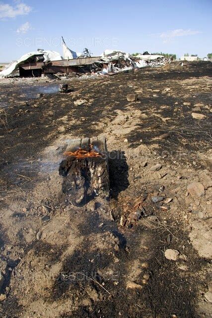 Wildfire Aftermath | Stock Image - Science Source Images