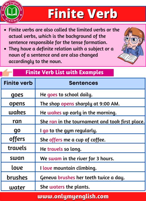 Finite Verb: Definite, Rules, Examples, and List » Onlymyenglish.com