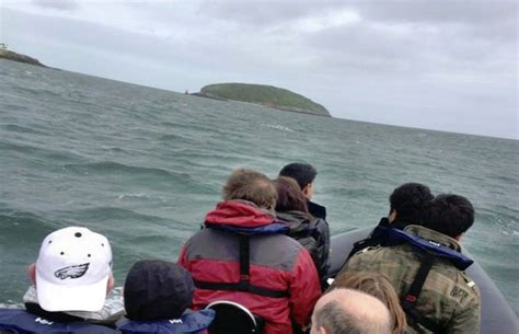 Anglesey Boat Trips - Trips - Puffin Island