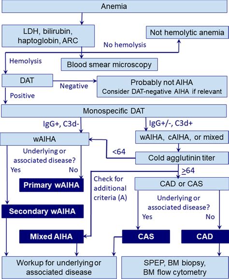 Algorithm for diagnostic workup of autoimmune hemolytic anemia (AIHA ...