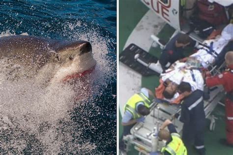 Shark attack: Surfer fights off great white in Western Australia ...