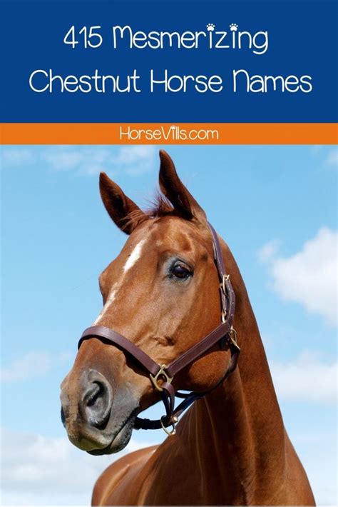 400+ Mesmerizing Chestnut Horse Names for Males and Females