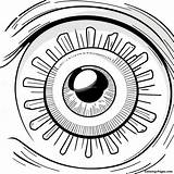 Realistic Eyeball Anatomy Coloring Page  Pagescom sketch template