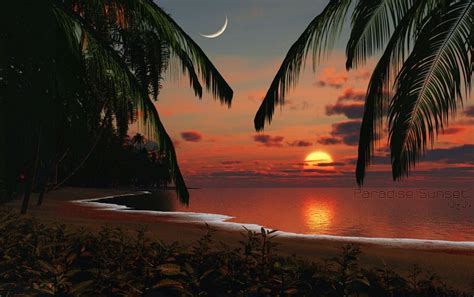 Paradise Sunset Wallpapers - Wallpaper Cave