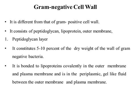 Gram Positive and Gram-Negative Bacteria Cells - ppt download