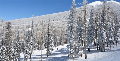 Arizona Snowbowl Received Four-And-A-Half Feet Of Snow From The Latest ...