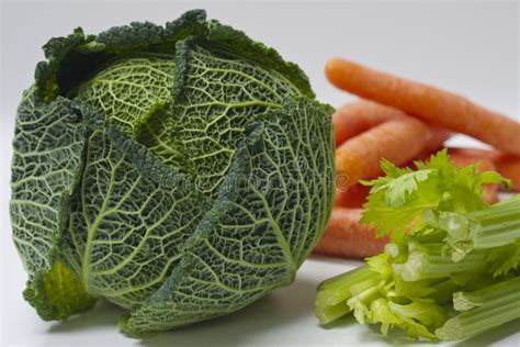 Cabbage, Carrots and Celery Stock Photo - Image of carrot, fiveaday ...