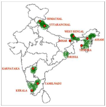 PLANTATION CROPS - INSIGHTS IAS - Simplifying UPSC IAS Exam Preparation