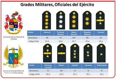 Descubre Los Rangos De La Policia Peru - Noviembre 2024 - CeficPeru.org