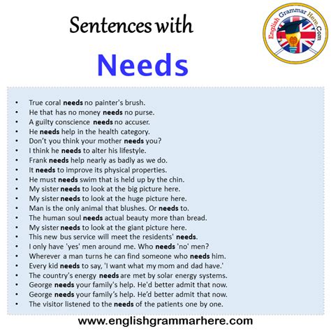 Sentences with Needs, Needs in a Sentence in English, Sentences For Needs - English Grammar Here