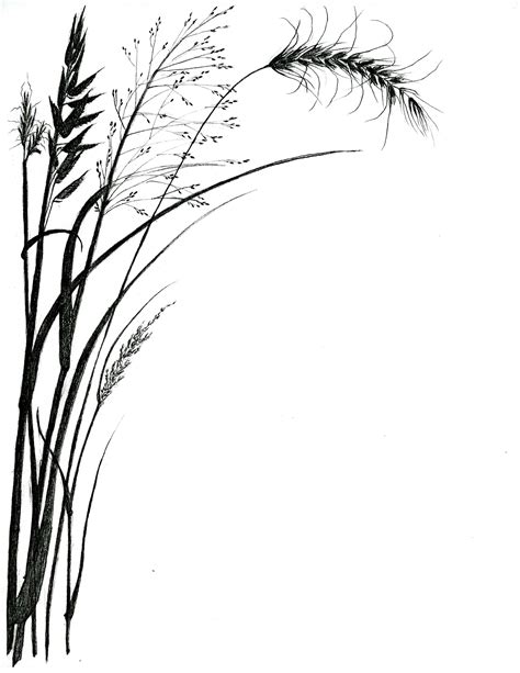 Grass Line Drawing - ClipArt Best