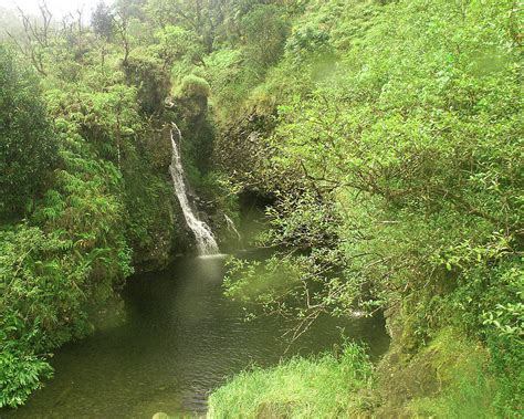 Hana Falls Photograph by Jesse Coulson - Fine Art America