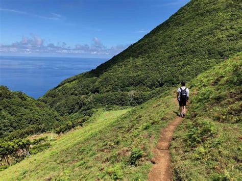 Hiking in the Azores | The BEST Azores Trails Guide | TripTins