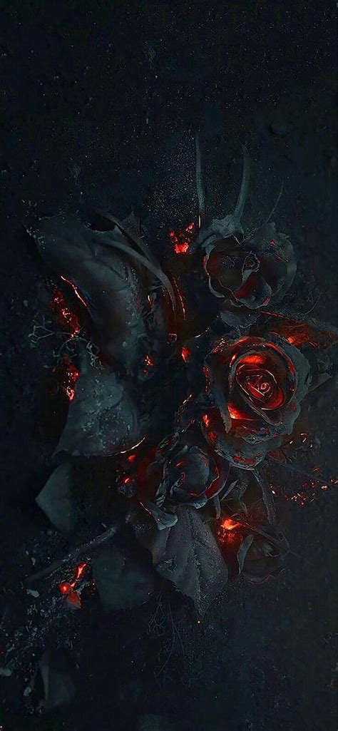 Phoenix rose. . Gothic , Dark, Black Phoenix HD phone wallpaper | Pxfuel