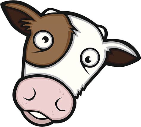 Top 60 Crazy Cow Clip Art, Vector Graphics and Illustrations - iStock