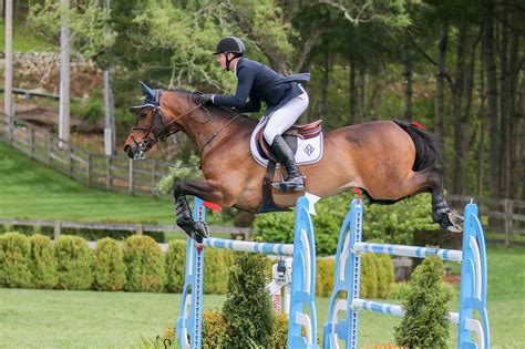 McLain Ward Named to U.S. Olympic Show Jumping Team | TAPinto