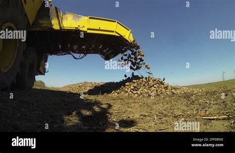 Sugar beets harvesting Stock Videos & Footage - HD and 4K Video Clips ...