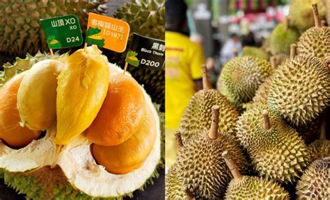 Durian 101: Your Ultimate Guide To Popular Varieties, Best Time To Eat, & Where To Buy Them - Zafigo