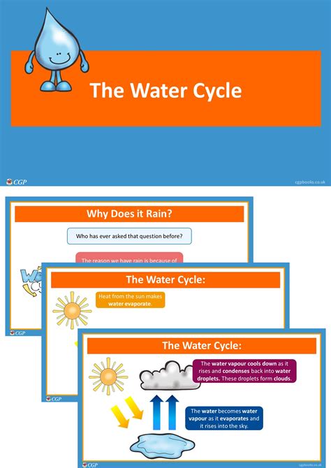 The Water Cycle (Year 4) | CGP Plus