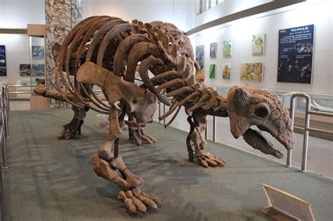 Ankylosaurus | The Armored Dinosaur of the Late Cretaceous