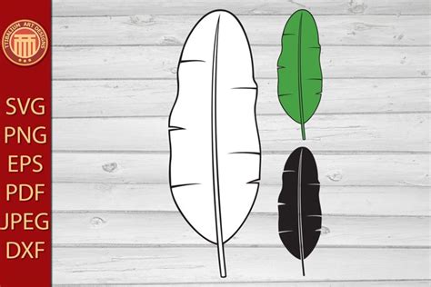 Banana Leaf - eps, jpg, dxf, svg, pdf, png files