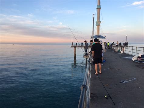 Brighton Jetty Sunrise Fishing