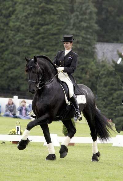 Friesian dressage | Friesian horse, Horses, Dressage horses