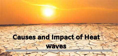 Causes and Impact of Heat waves: Everything you need to know - OwnTV