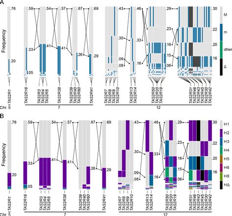 Haplotype block structure, common haplotype and long-range haplotype... | Download Scientific ...