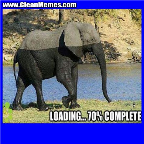 10++ Funny Elephant Memes Pictures - Factory Memes