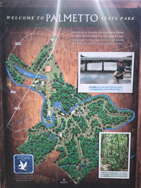 Palmetto State Park Map - Alecia Lorianna