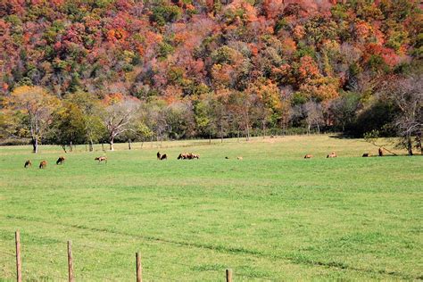 Boxley Valley Arkansas IIi Photograph