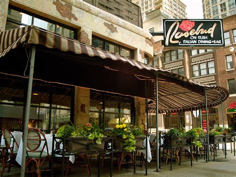 Rosebud On Rush - Rosebud Restaurants | Chicago restaurants, Restaurant, Fun dinners