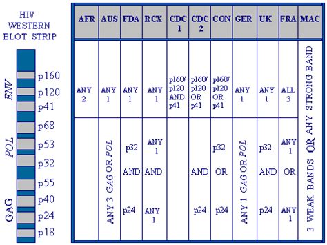 HIV & AIDS - The HIV Western Blot Test - Criteria for a positive test ...