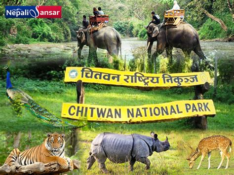 Chitwan National Park Beckons Tourists