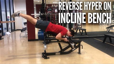 Reverse Hyper on Incline Bench is a great way to perform a reverse hyper without the… | Full ...