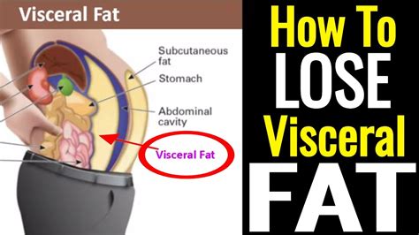 How To Lose Visceral Fat Woman - Ultralight RadioDxer