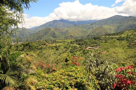 Cuenca Ecuador Blog: Vilcabamba, The valley of longevity