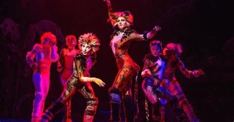 Now Casting: Play a Principal Role in the ‘Cats’ Tour + 3 More Gigs