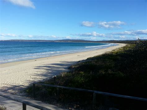 Glass Wings photos - Merimbula beach