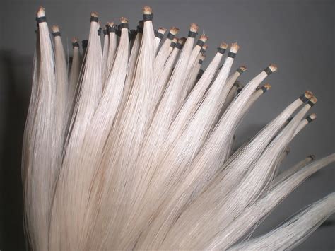 25 Hanks High Quality White Stallion Violin bow hair in 32 inches 6 ...