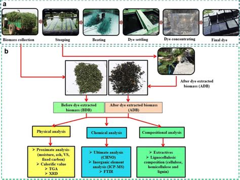 Schematic of (a) indigo dye production process and (b) biomass ...