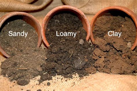 Learn about Soil Types | NESDIS