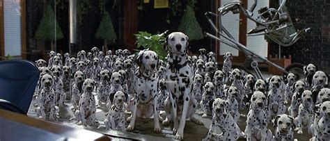 Image - 101-dalmatians-1996-5.png - Disney Wiki - Wikia